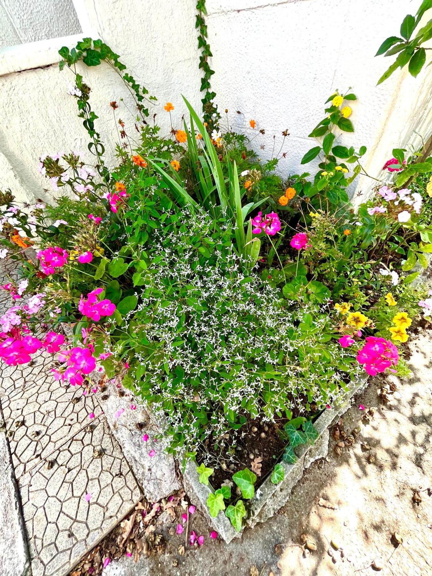 Cosy House Near Paris, Cdg Airport + Parking Villa Aulnay-sous-Bois Kültér fotó